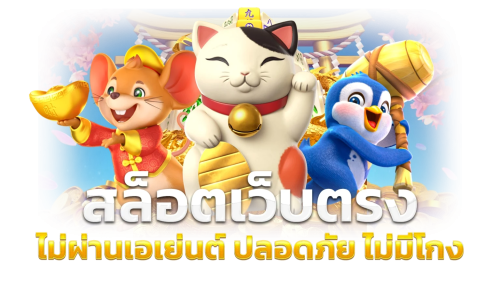suczeed เว็บใหม่มาแรงแห่งปี 2026